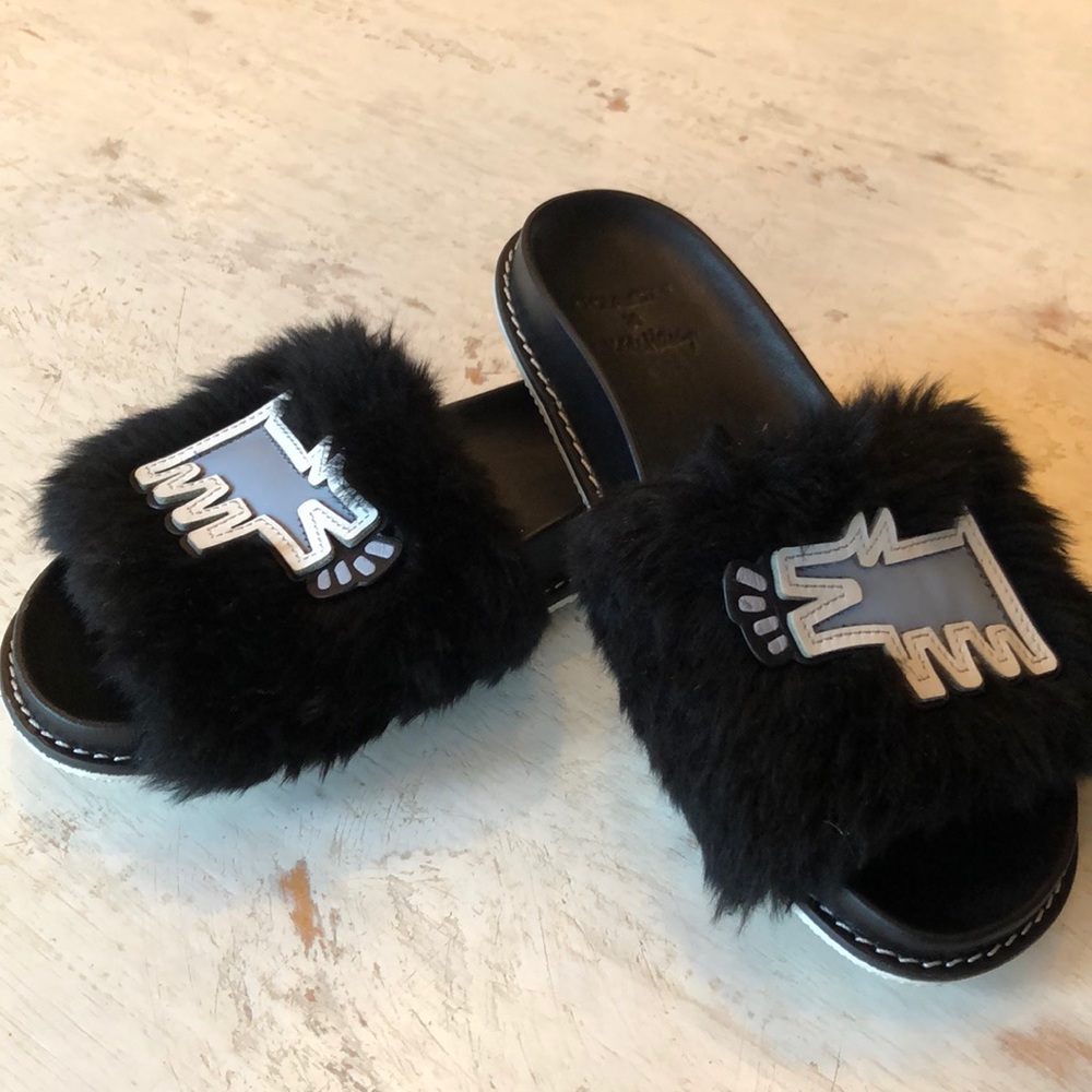 Co-lab Coach/Keith Herring slides